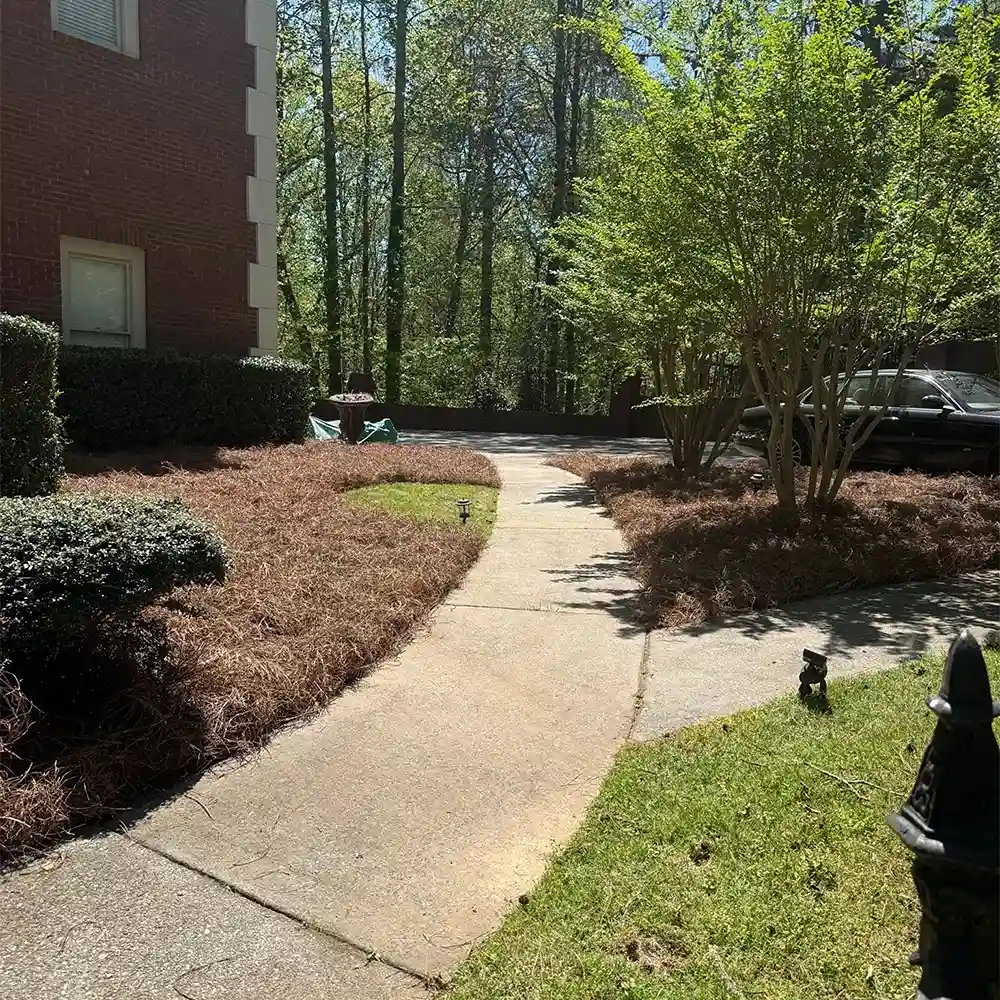 Mighty Oak Landscaping INC - Local Beings