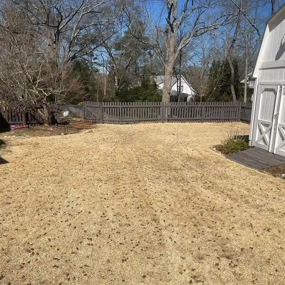 Mighty Oak Landscaping INC - Local Beings