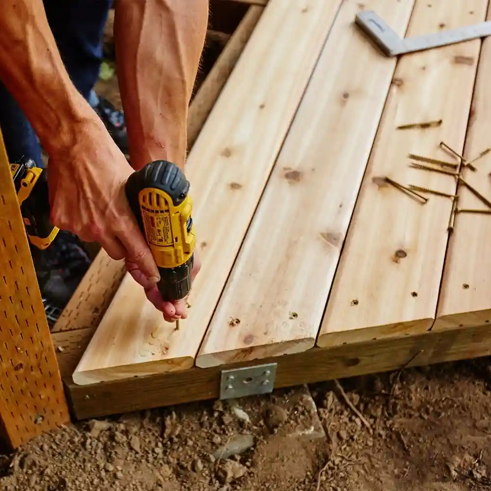 DGP Construction LLC - Local Beings