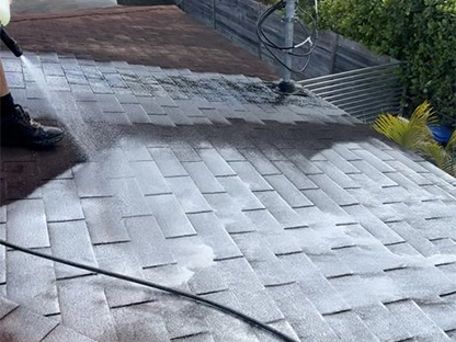 Expert Residential Pressure Washing in Miami, FL