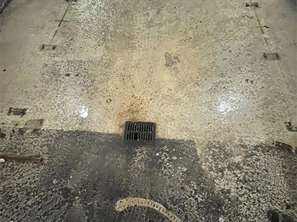 Expert Residential Pressure Washing in Miami, FL
