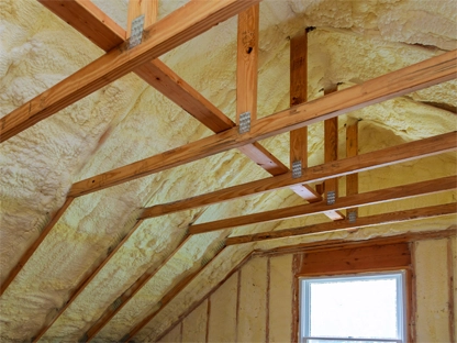Best Attic Insulation Services in Collin County, TX