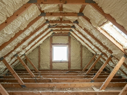 Best Attic Insulation Services in Collin County, TX