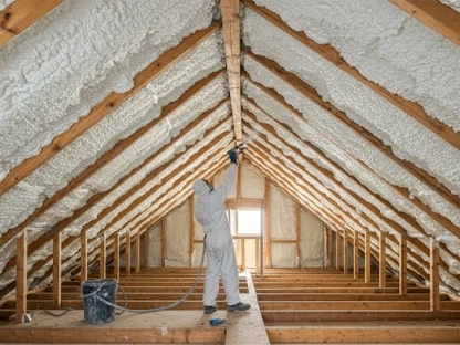 Best Attic Insulation Services in Collin County, TX