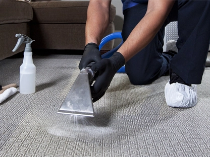 Affordable Carpet Cleaning Service in Shepherdsville, KY
