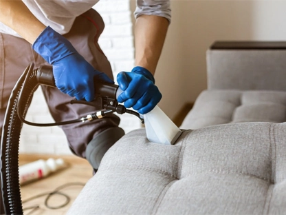 Professional Upholstery Cleaning Service in Bardstown, KY